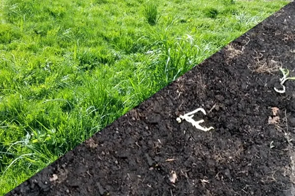 Artificial Turf Removal and Disposal in Missouri City, TX